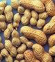 Protecting against peanut allergy in children: new findings