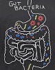 Gut bacteria are important for neurodevelopment